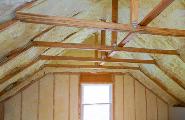 Best Eco-Friendly Insulation in Lititz, PA